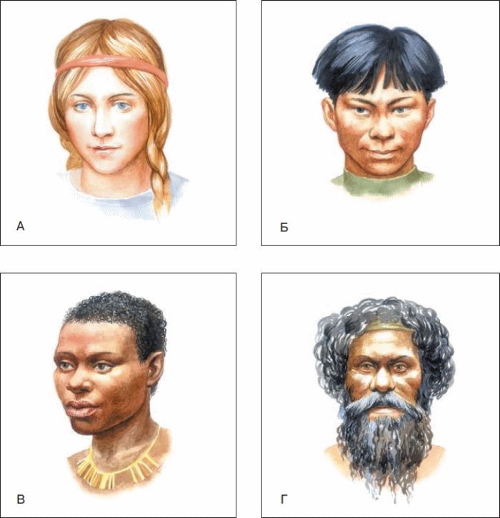 история том, как образовались расы людей длина